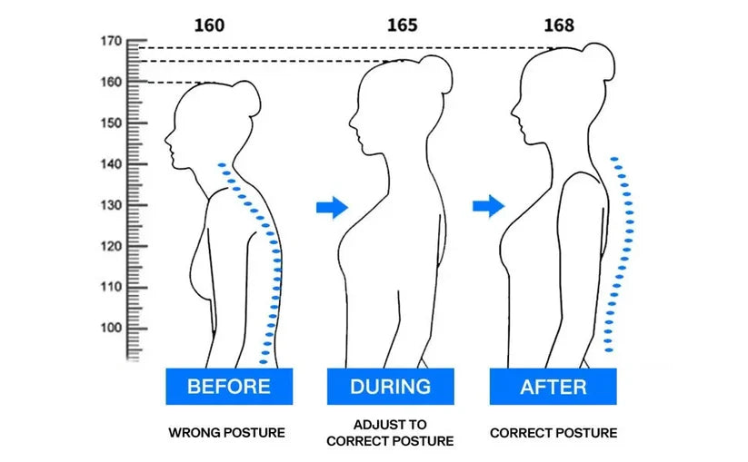 Vivenza Ergonomic Posture Support