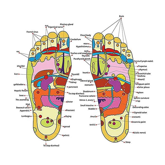 Acupressure and Magnetic Therapy Paduka Slippers for Full Body Blood Circulation For Men and Women